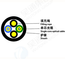 Remote optical cable